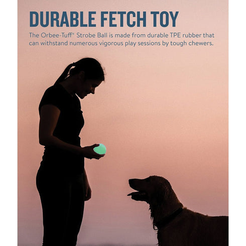 Planet Dog Orbee Strobe Ball Light Up LED Green Dog Toy - Poudre Pet & Feed Supply 2